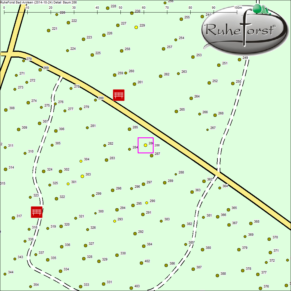 Detailkarte zu Baum 286