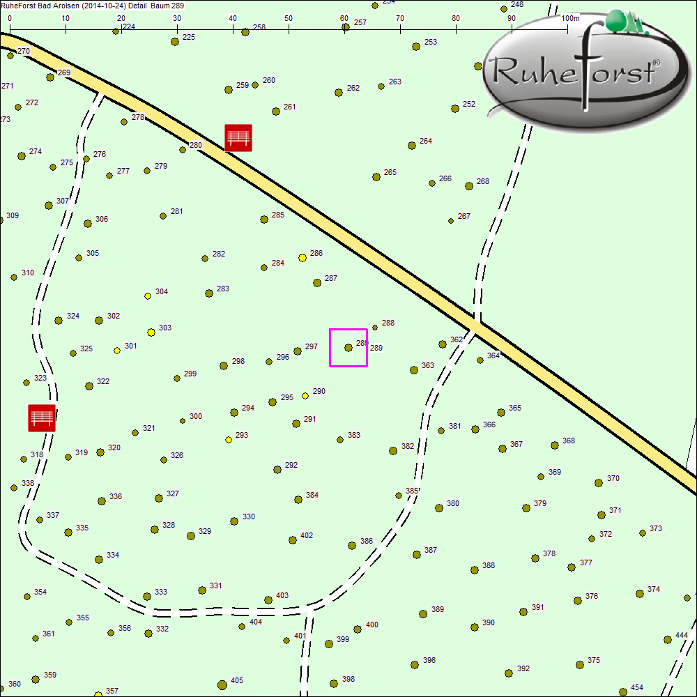 Detailkarte zu Baum 289