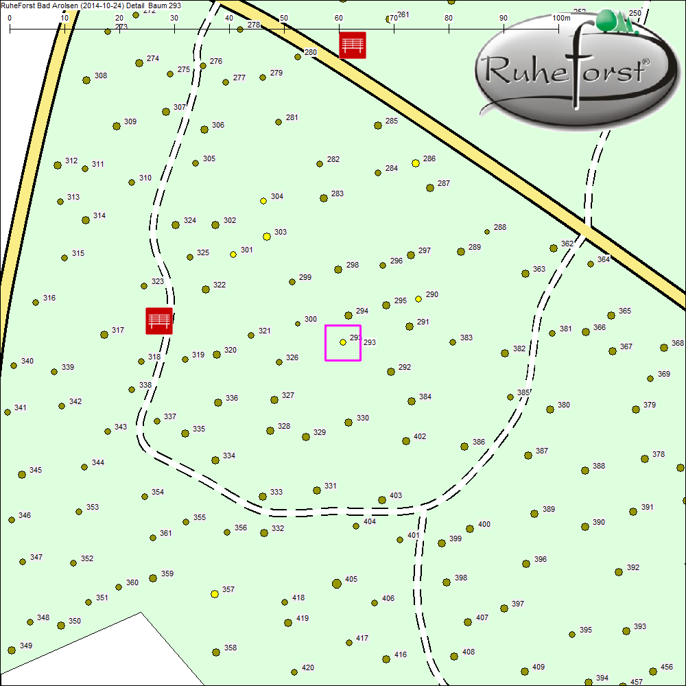 Detailkarte zu Baum 293