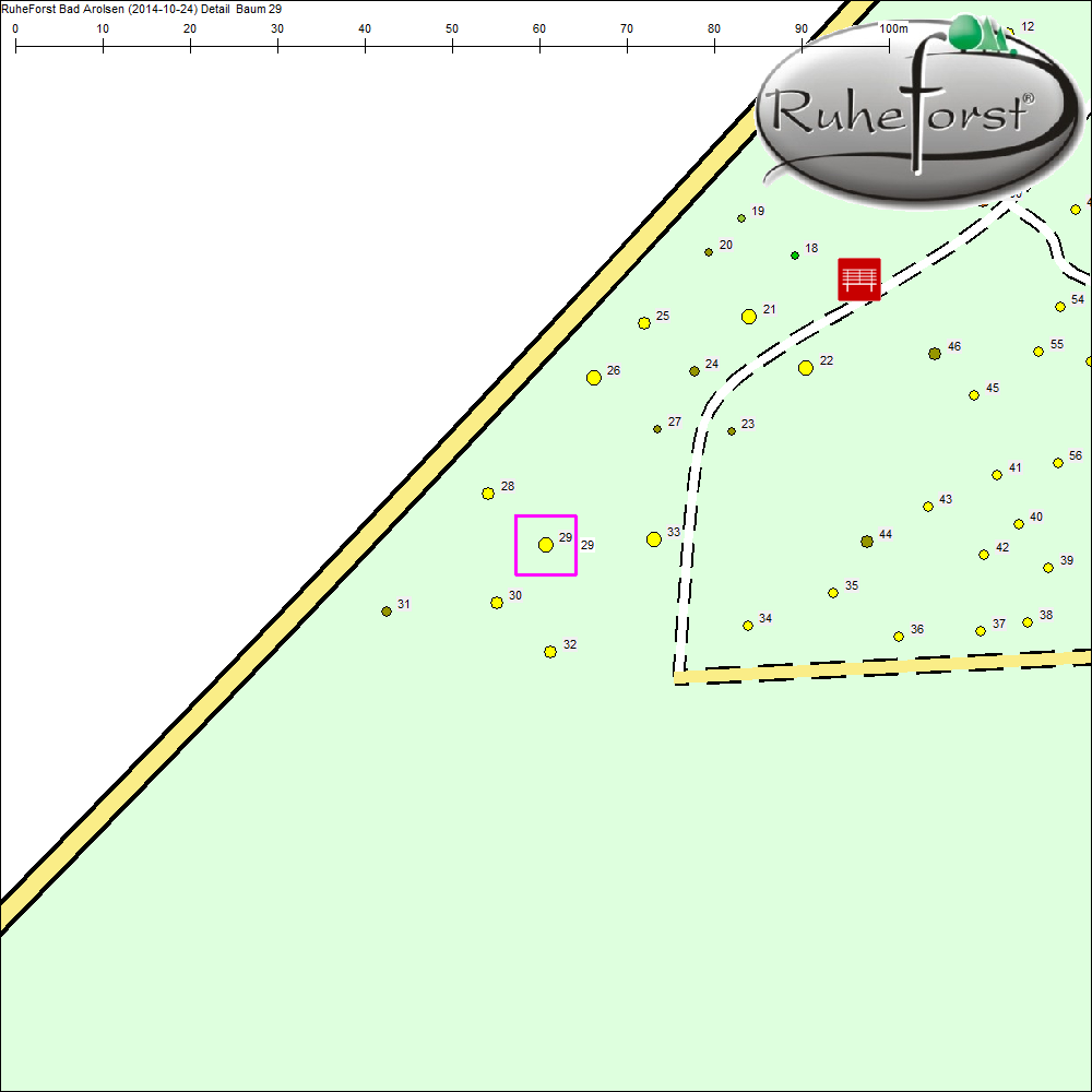 Detailkarte zu Baum 29