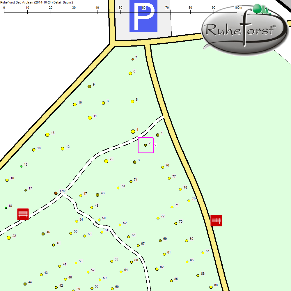 Detailkarte zu Baum 2