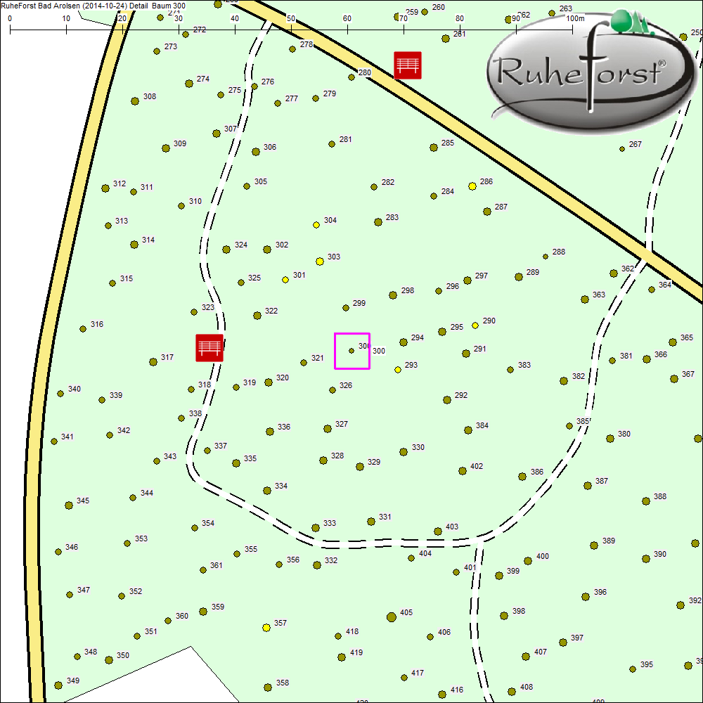 Detailkarte zu Baum 300