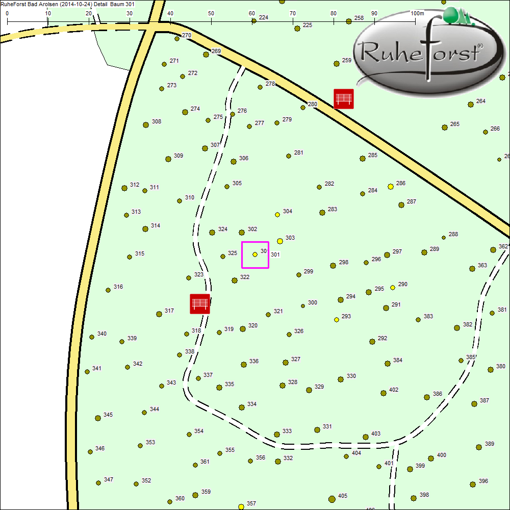 Detailkarte zu Baum 301