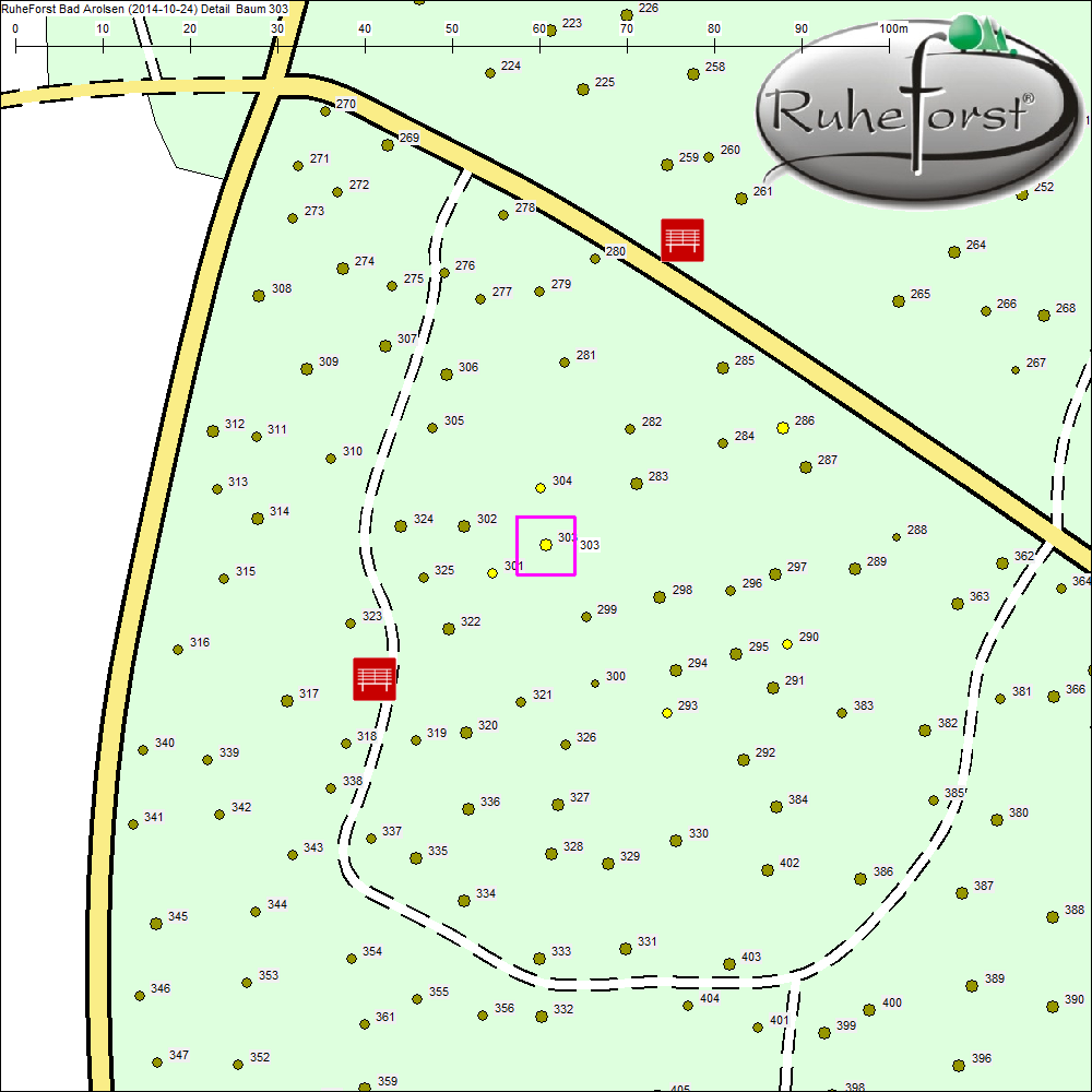 Detailkarte zu Baum 303