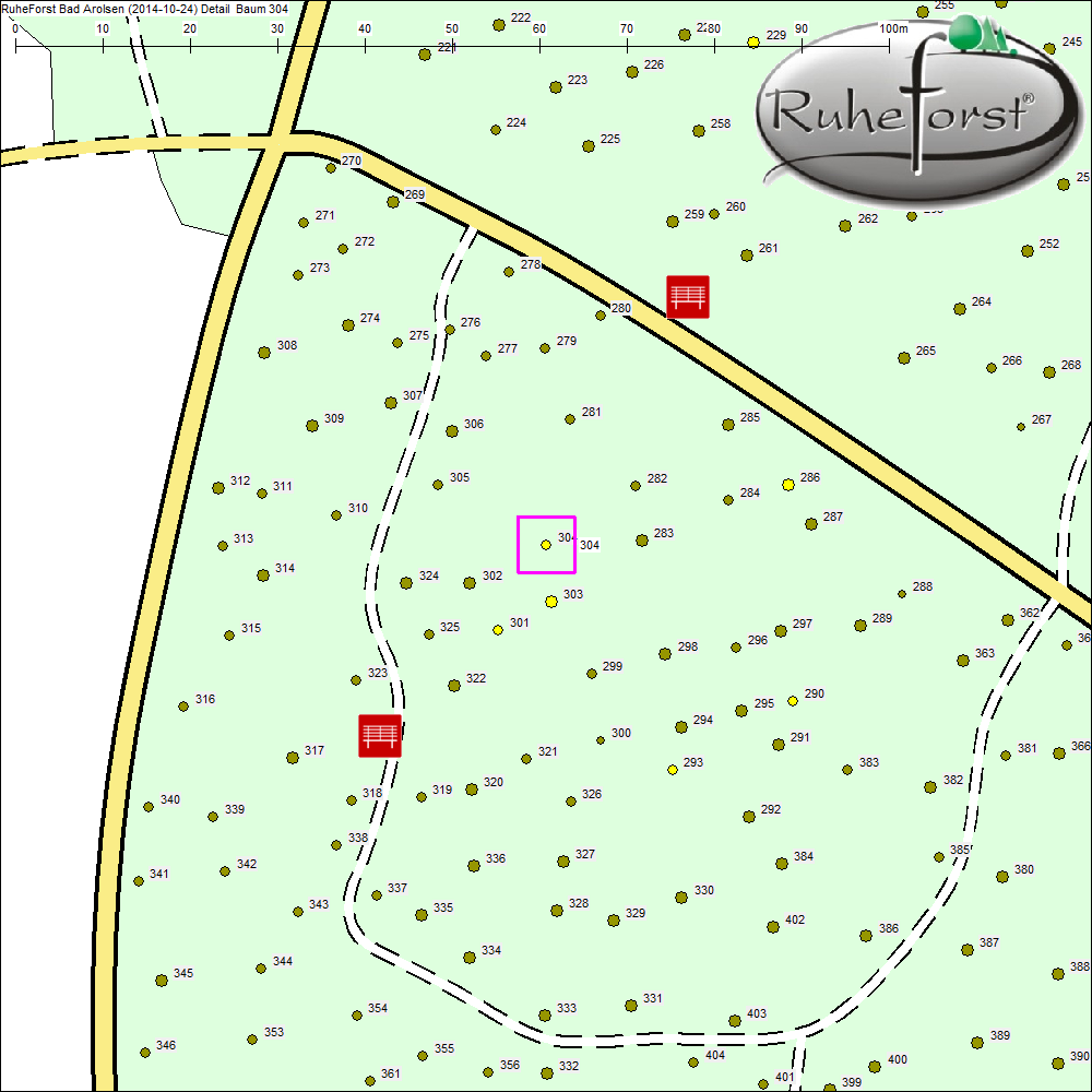 Detailkarte zu Baum 304