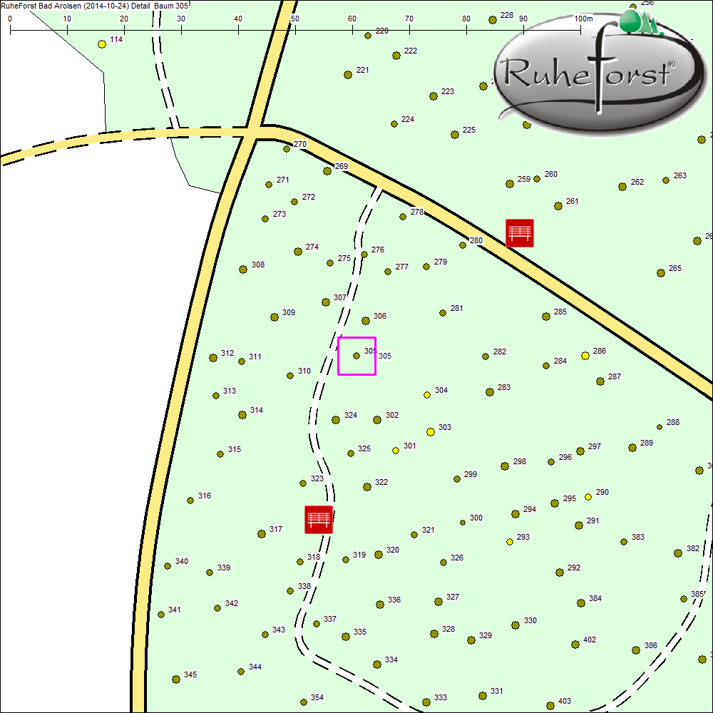 Detailkarte zu Baum 305