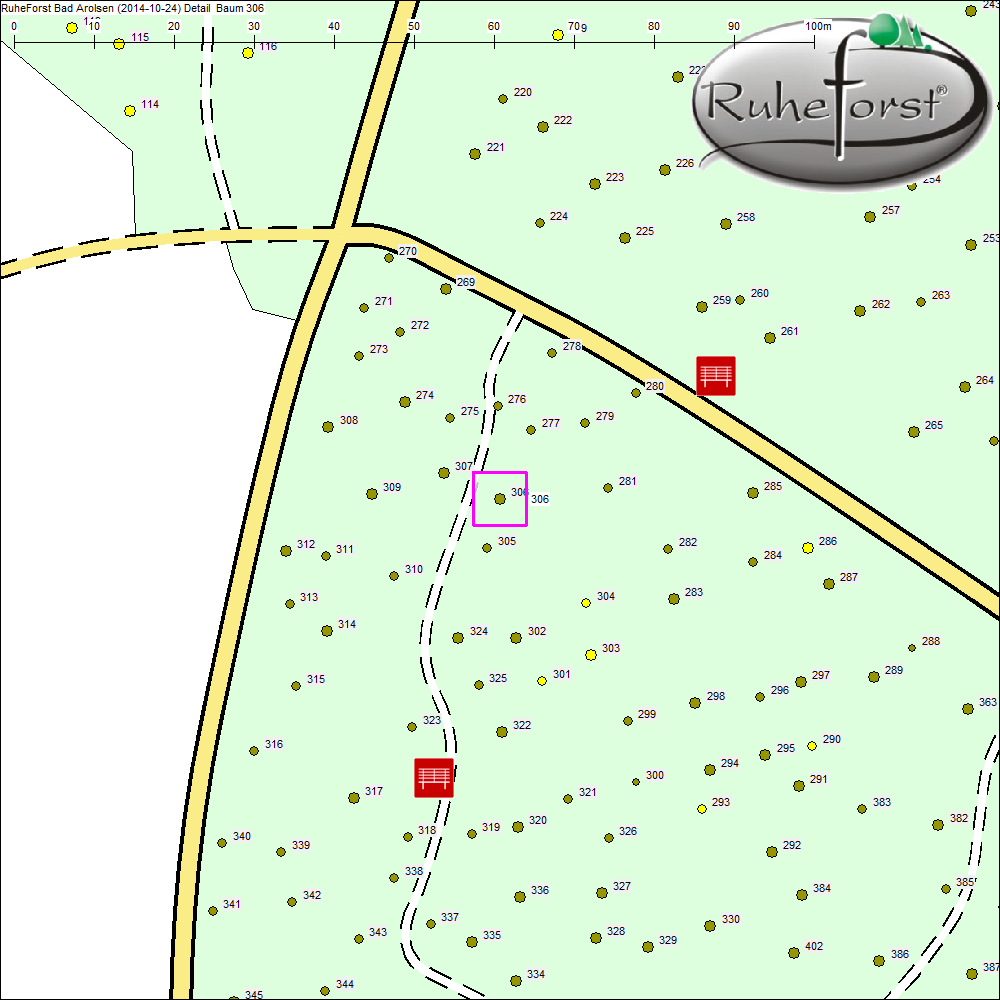 Detailkarte zu Baum 306