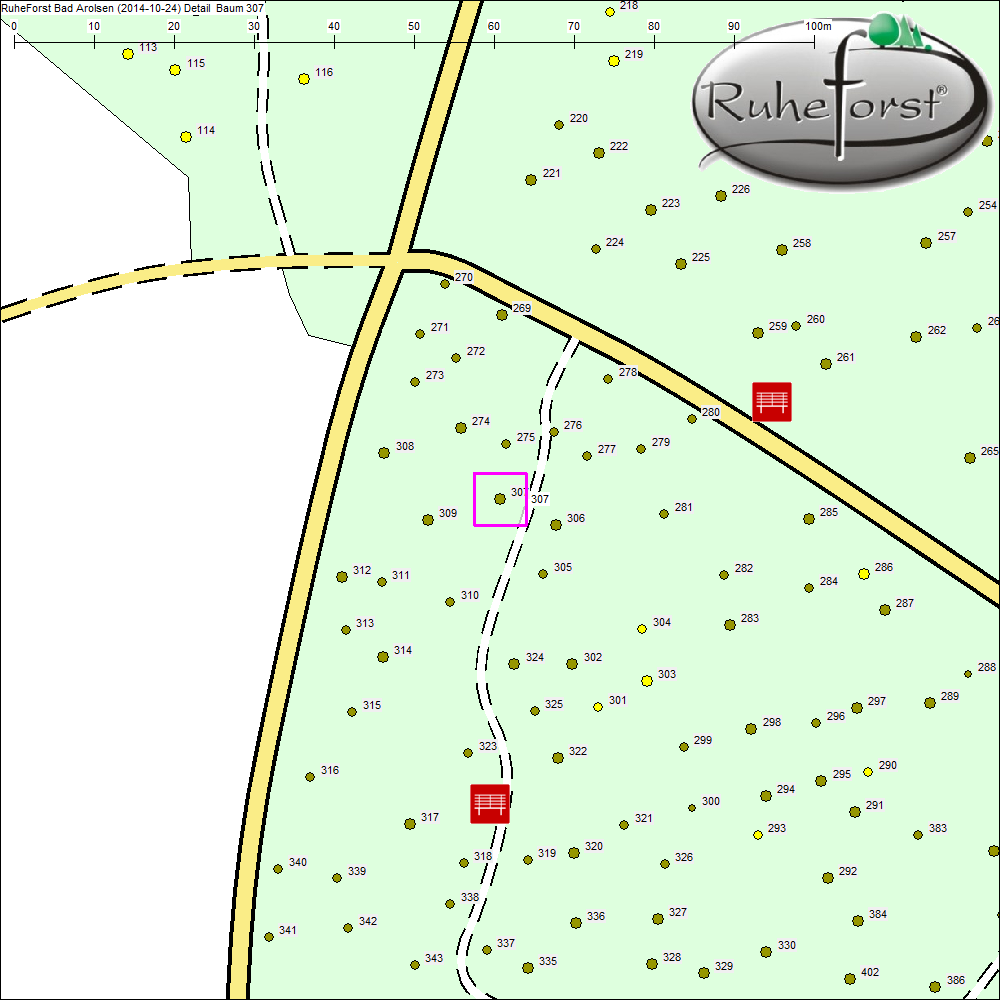 Detailkarte zu Baum 307