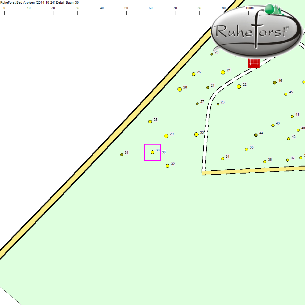 Detailkarte zu Baum 30