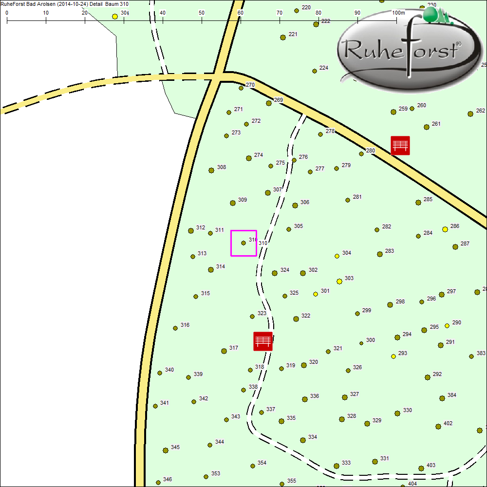 Detailkarte zu Baum 310
