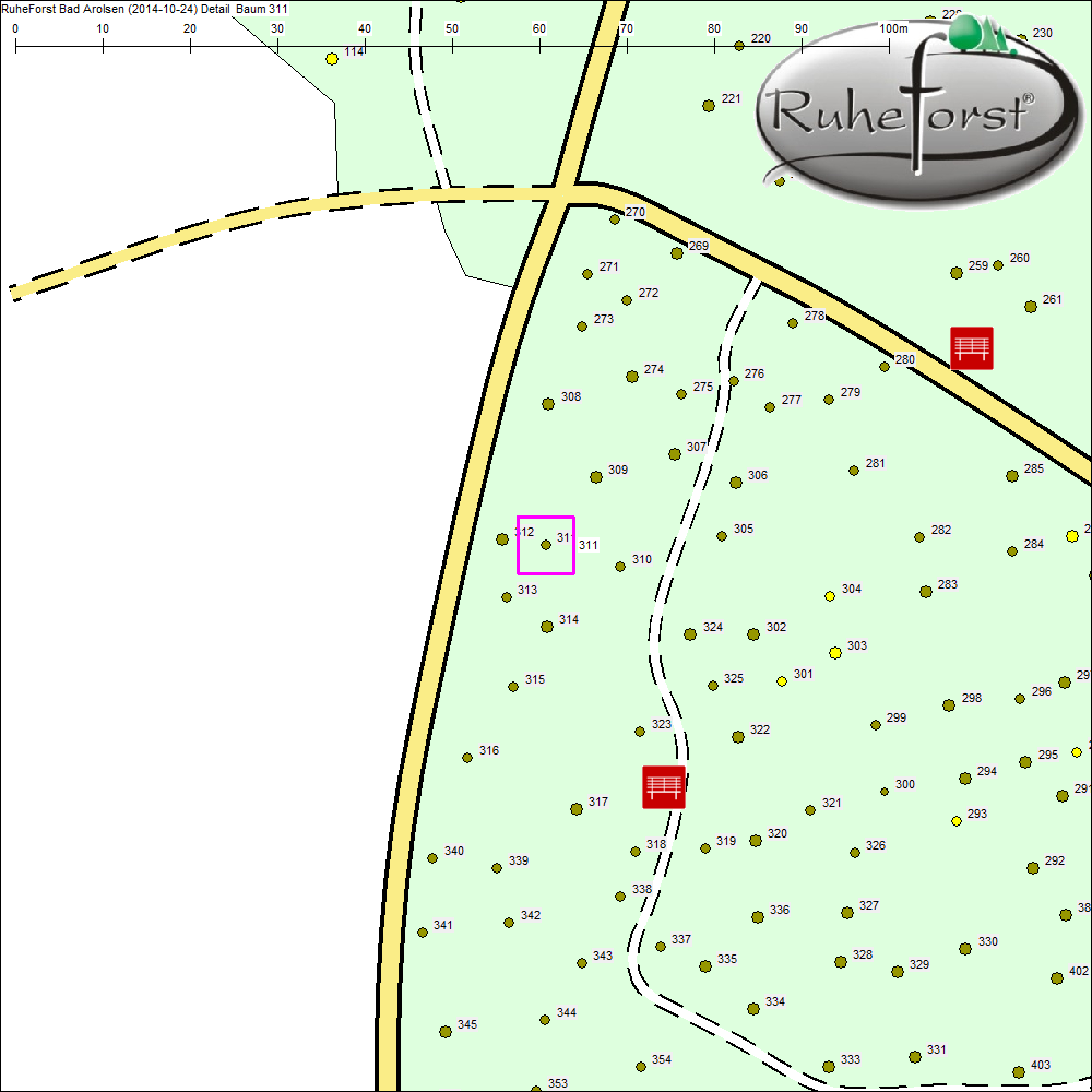 Detailkarte zu Baum 311