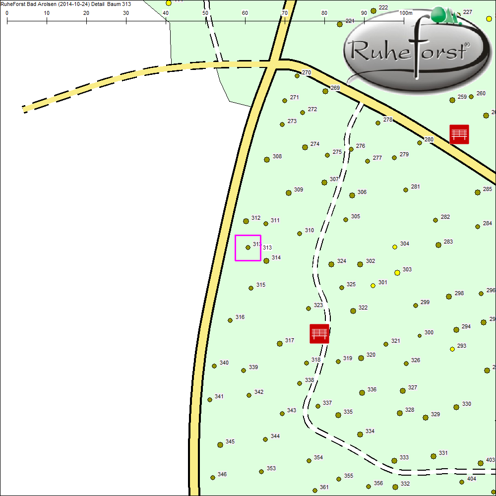 Detailkarte zu Baum 313