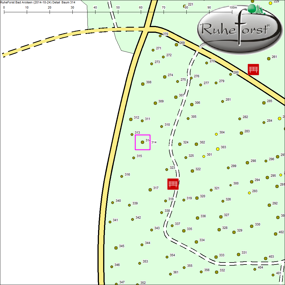 Detailkarte zu Baum 314
