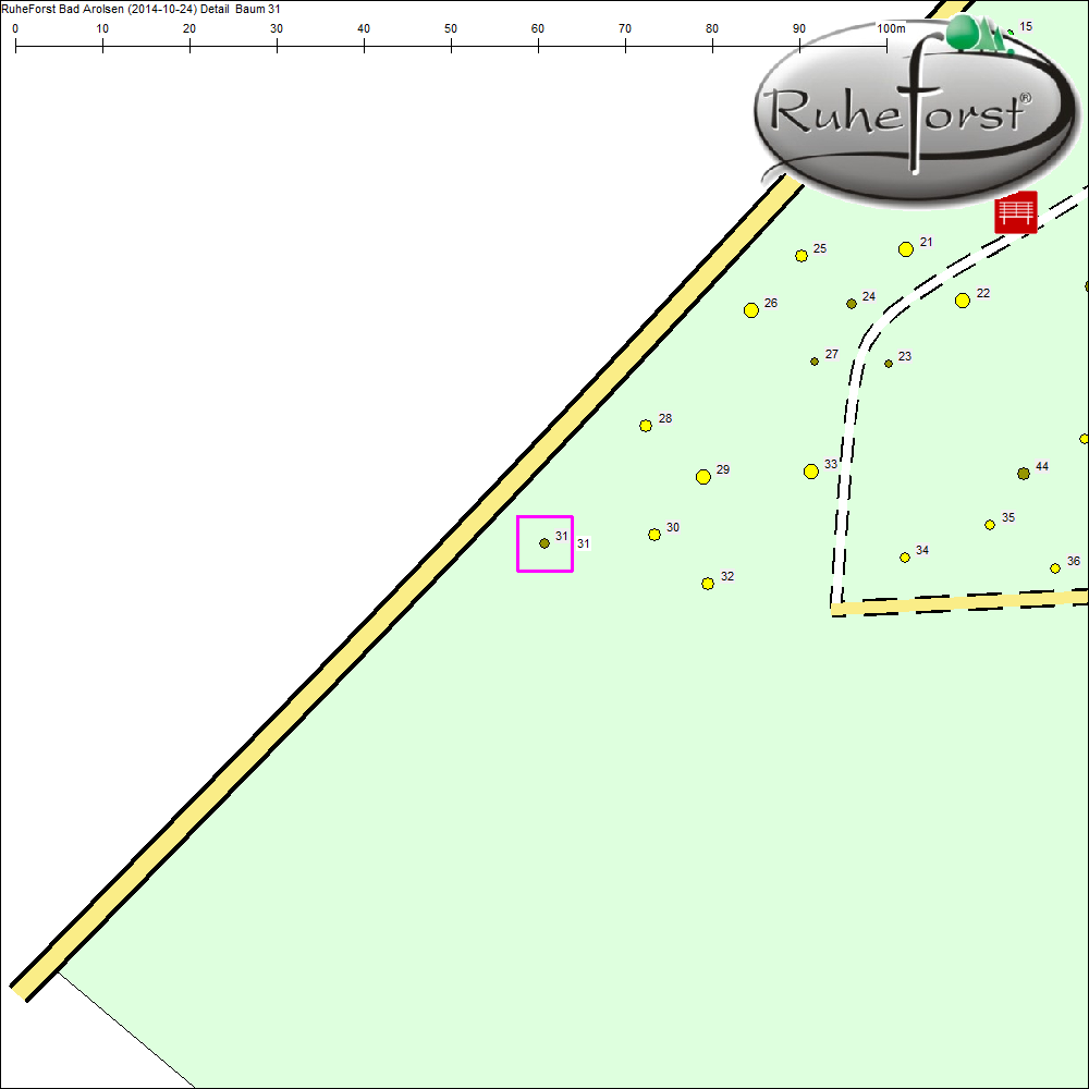 Detailkarte zu Baum 31