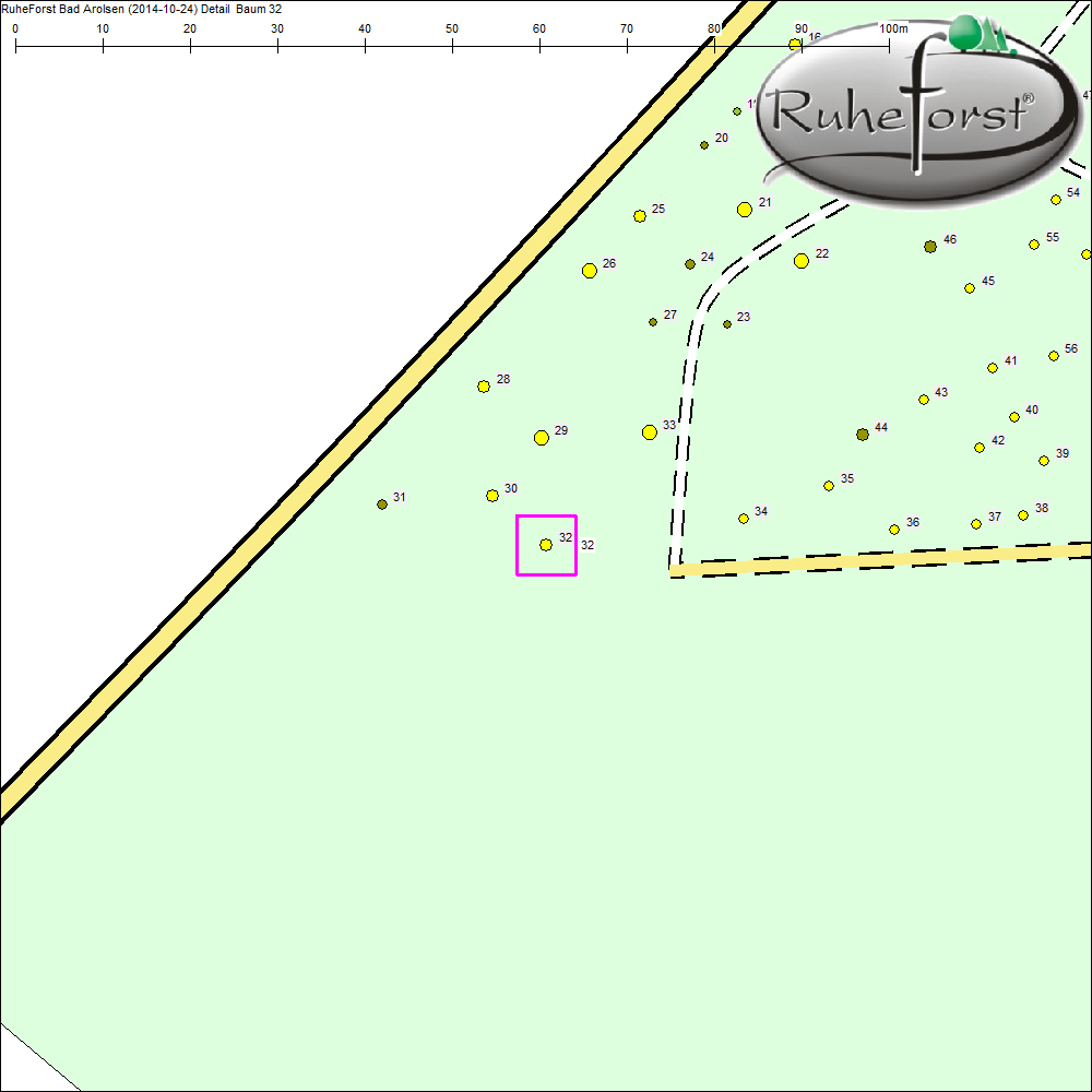 Detailkarte zu Baum 32