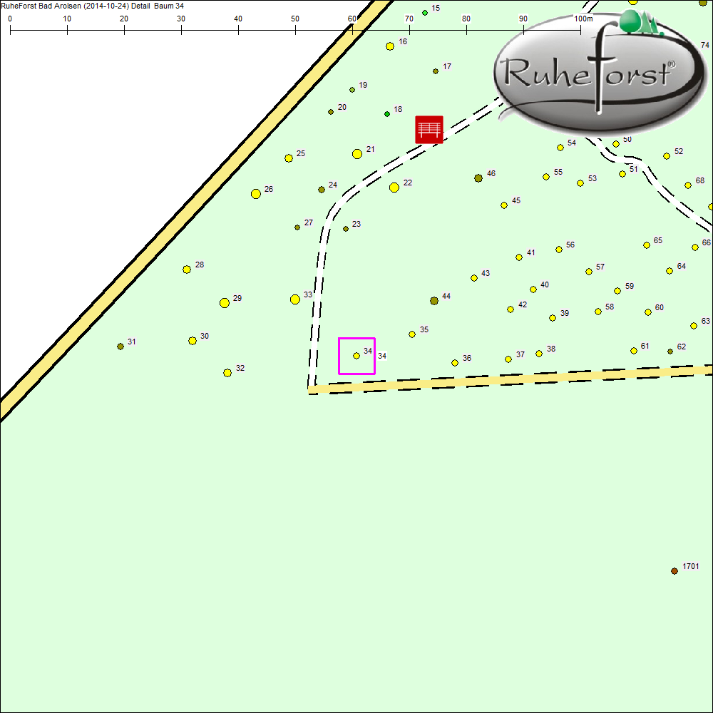 Detailkarte zu Baum 34