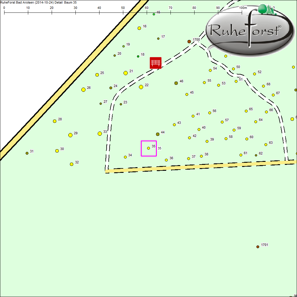 Detailkarte zu Baum 35