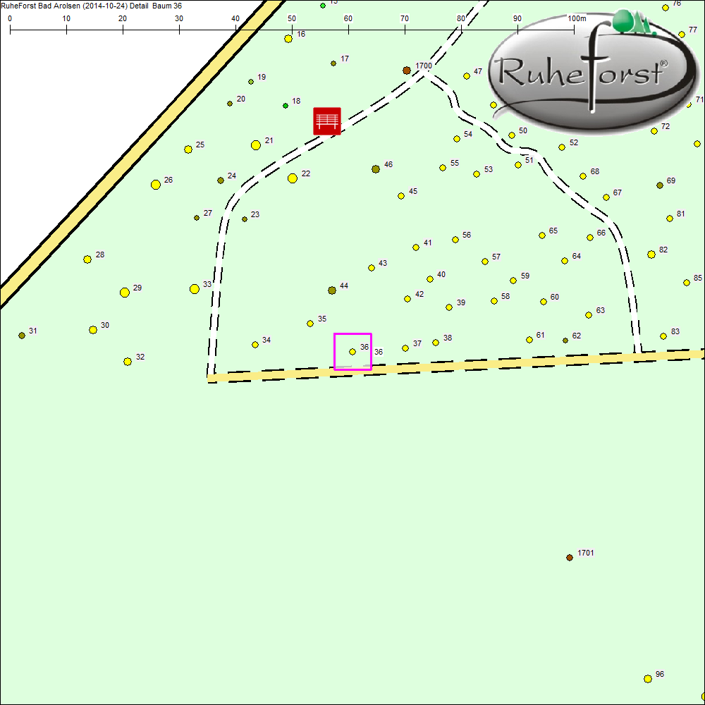 Detailkarte zu Baum 36