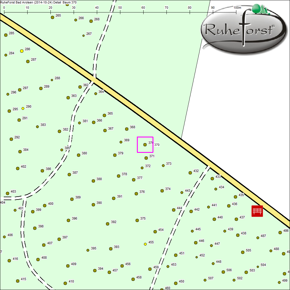 Detailkarte zu Baum 370