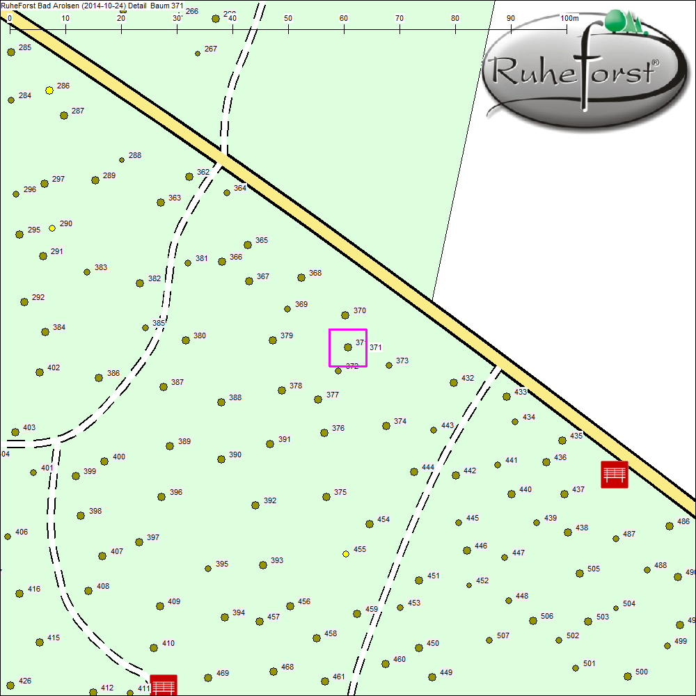 Detailkarte zu Baum 371