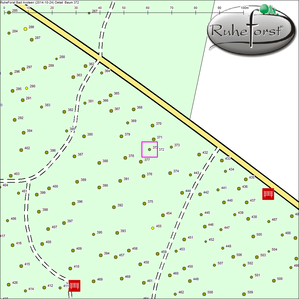 Detailkarte zu Baum 372