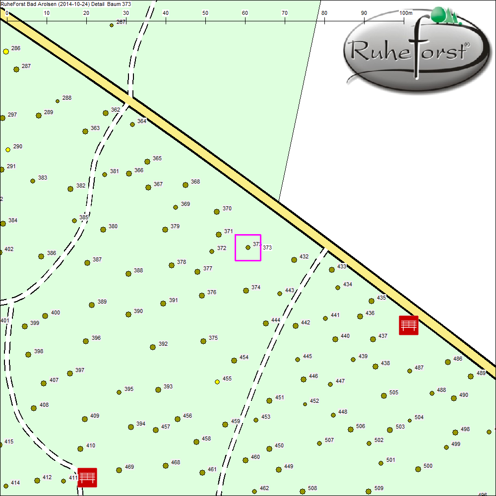 Detailkarte zu Baum 373