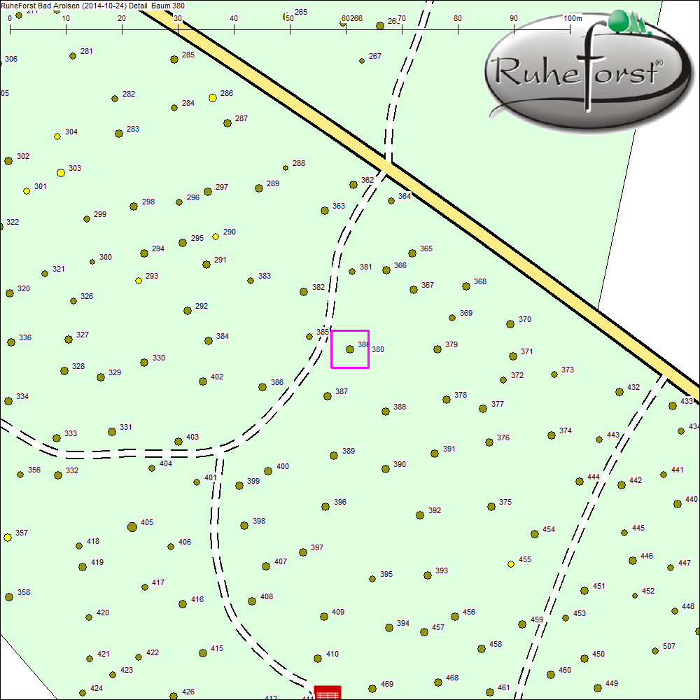Detailkarte zu Baum 380