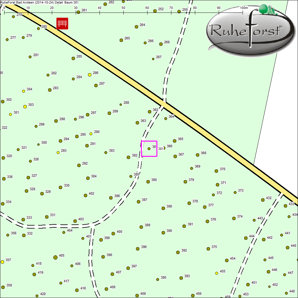 Detailkarte zu Baum 381