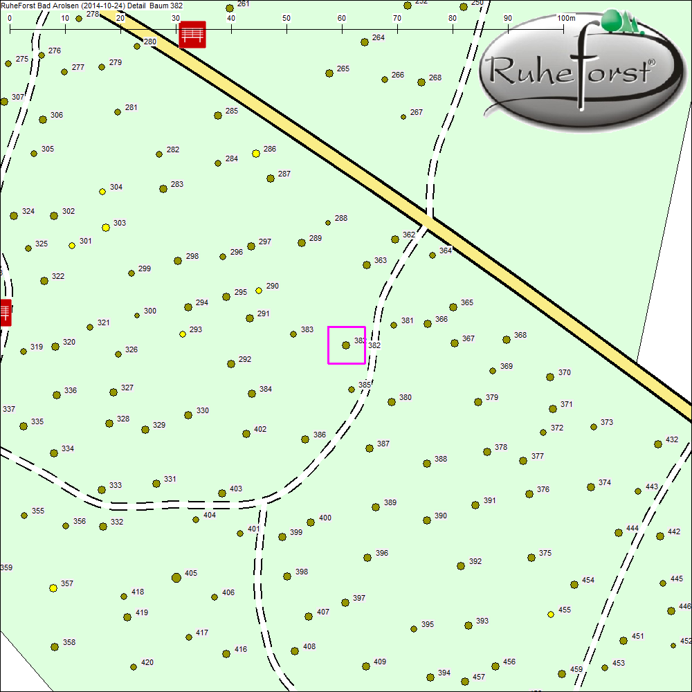 Detailkarte zu Baum 382
