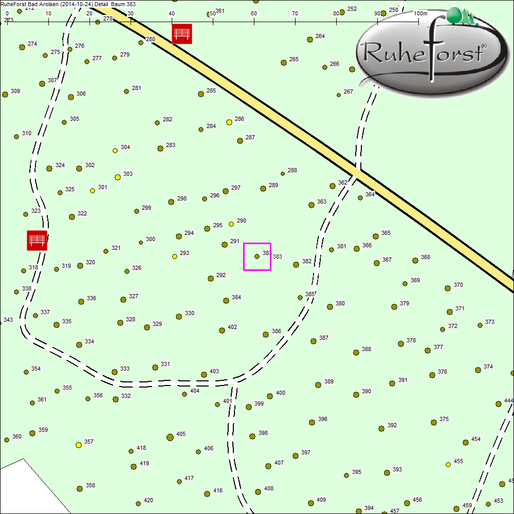 Detailkarte zu Baum 383