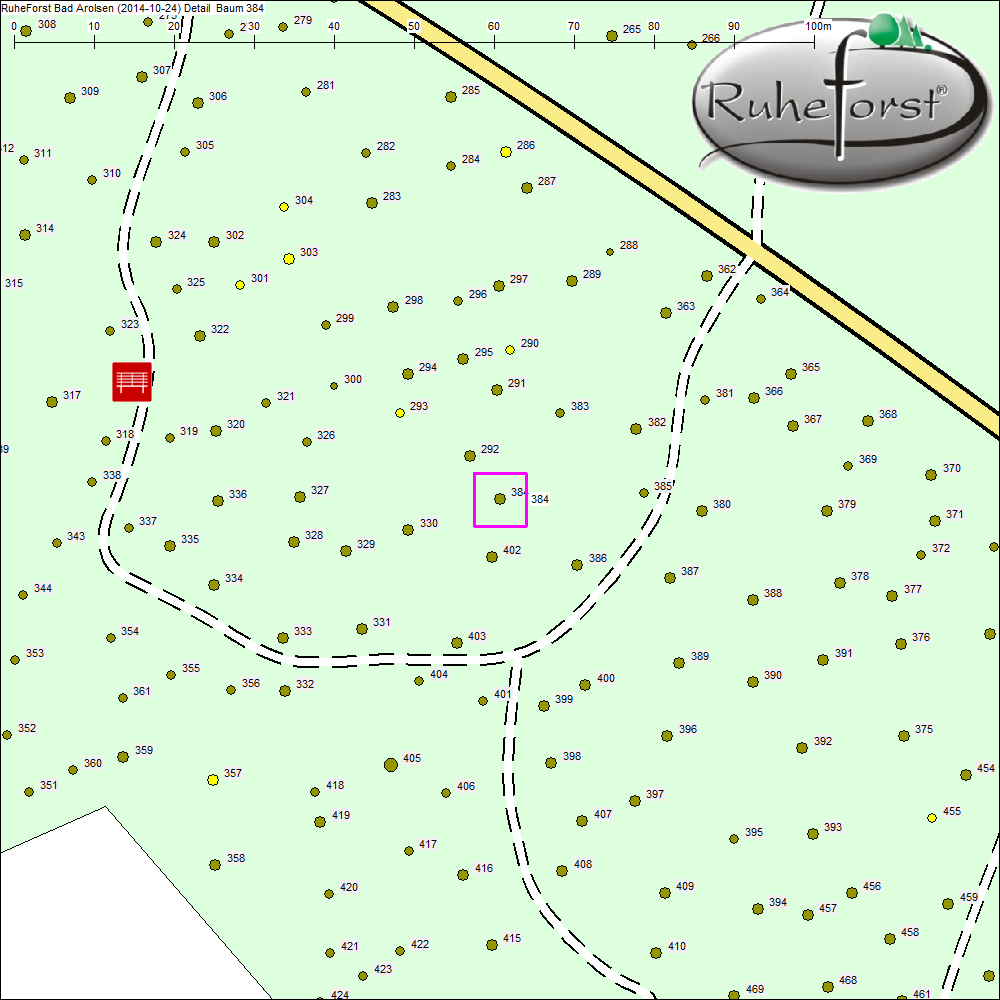 Detailkarte zu Baum 384