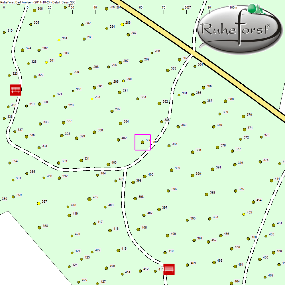 Detailkarte zu Baum 386