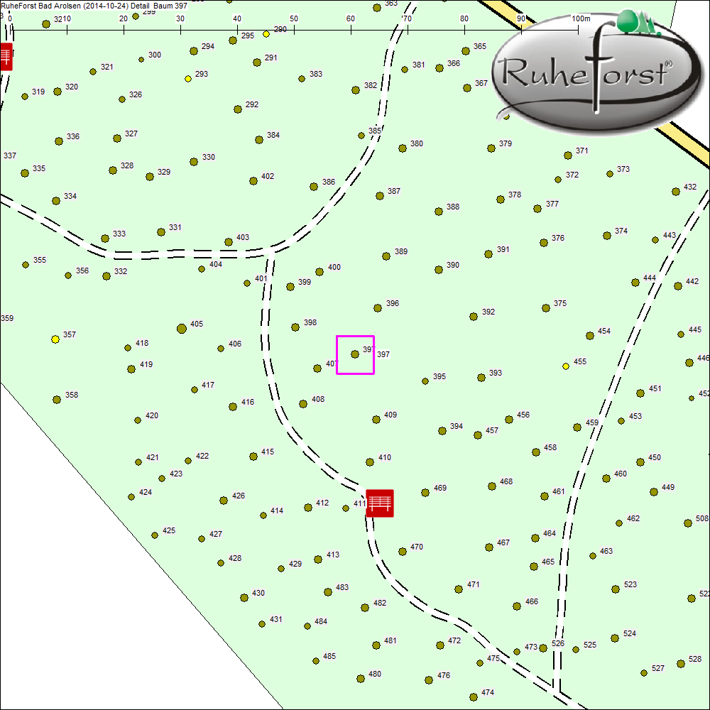 Detailkarte zu Baum 397