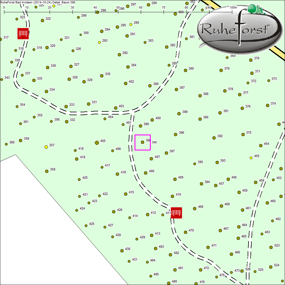 Detailkarte zu Baum 398