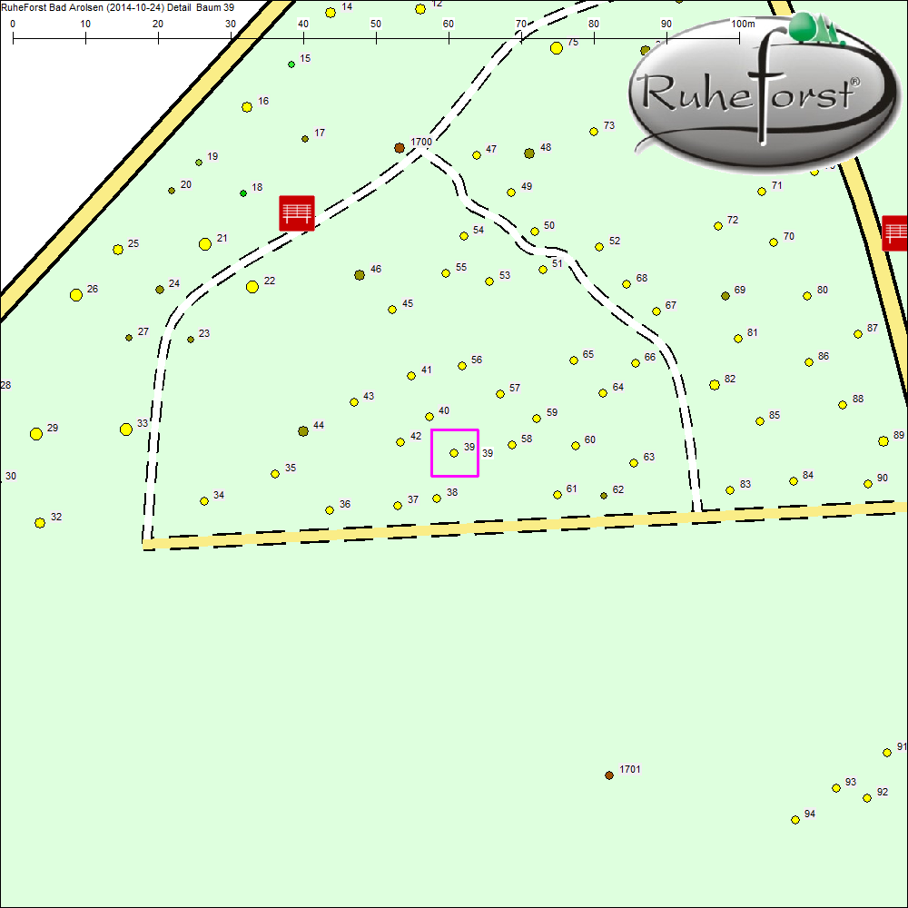Detailkarte zu Baum 39