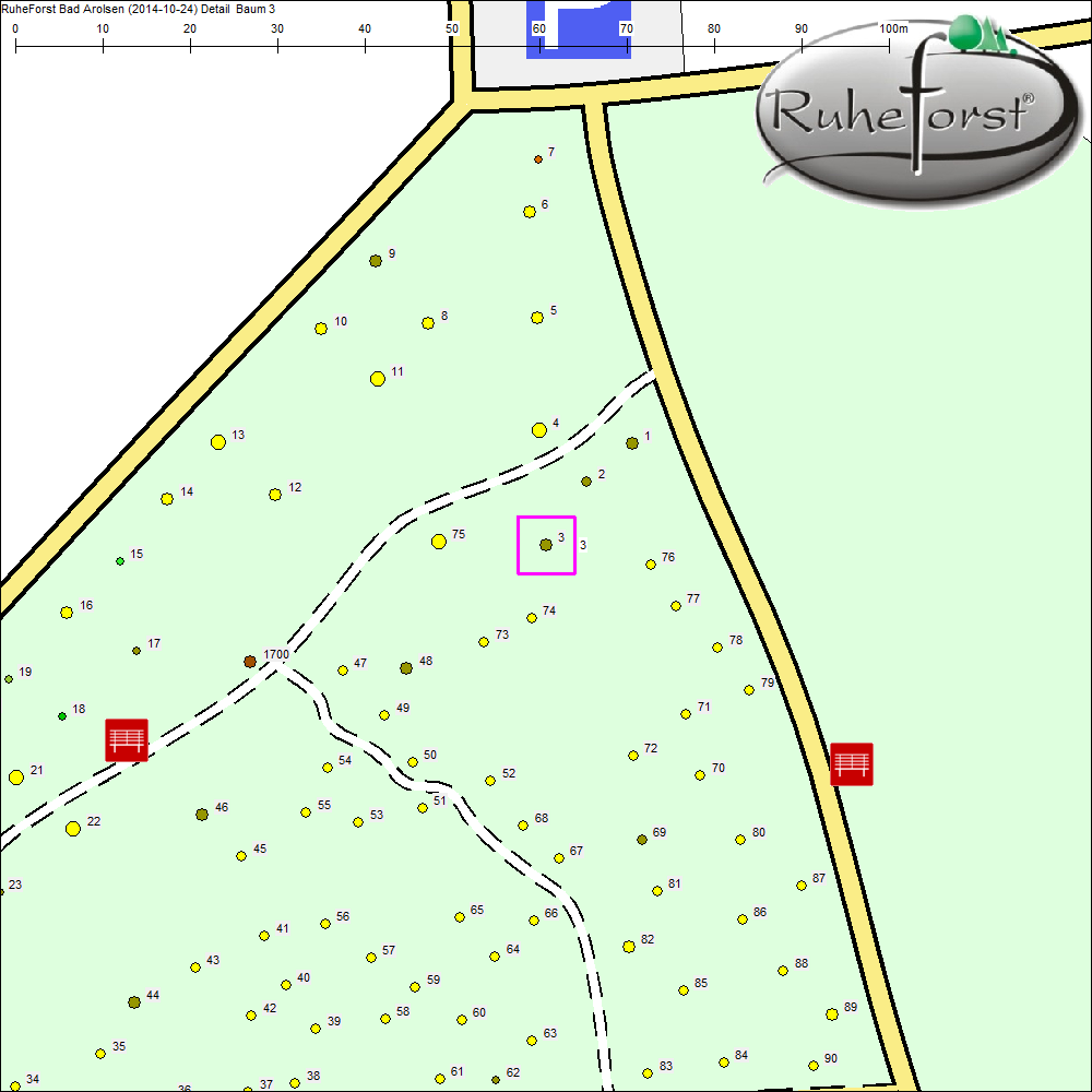 Detailkarte zu Baum 3