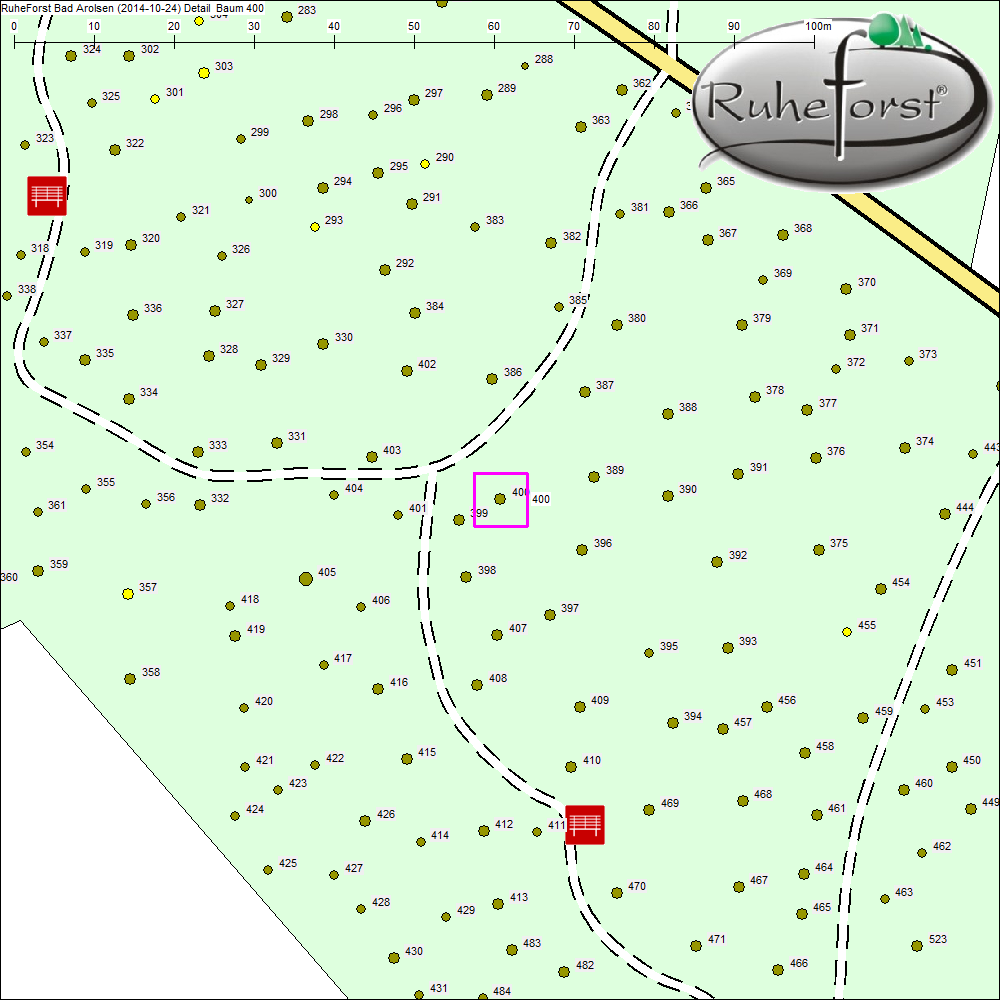 Detailkarte zu Baum 400