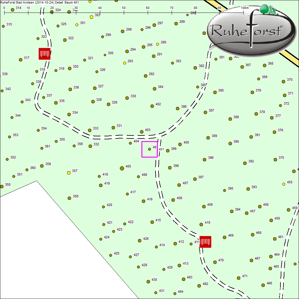 Detailkarte zu Baum 401