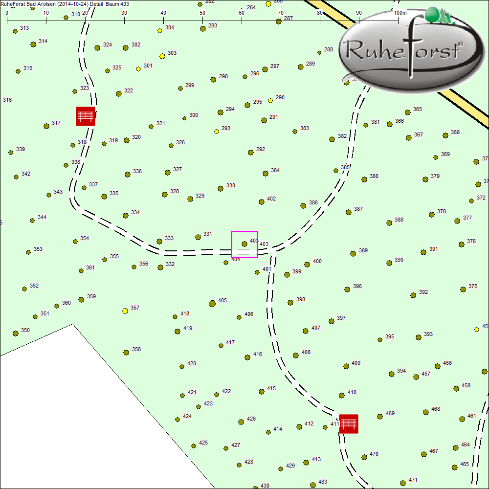 Detailkarte zu Baum 403