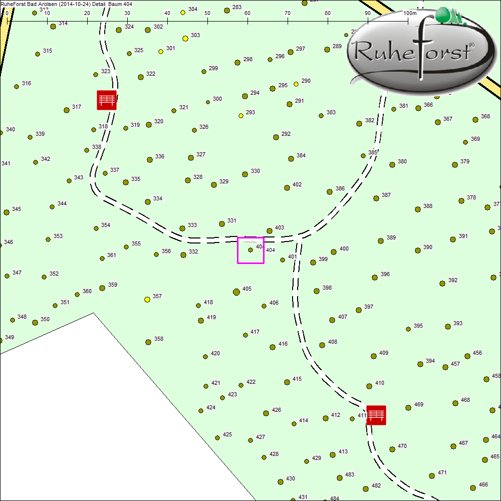 Detailkarte zu Baum 404