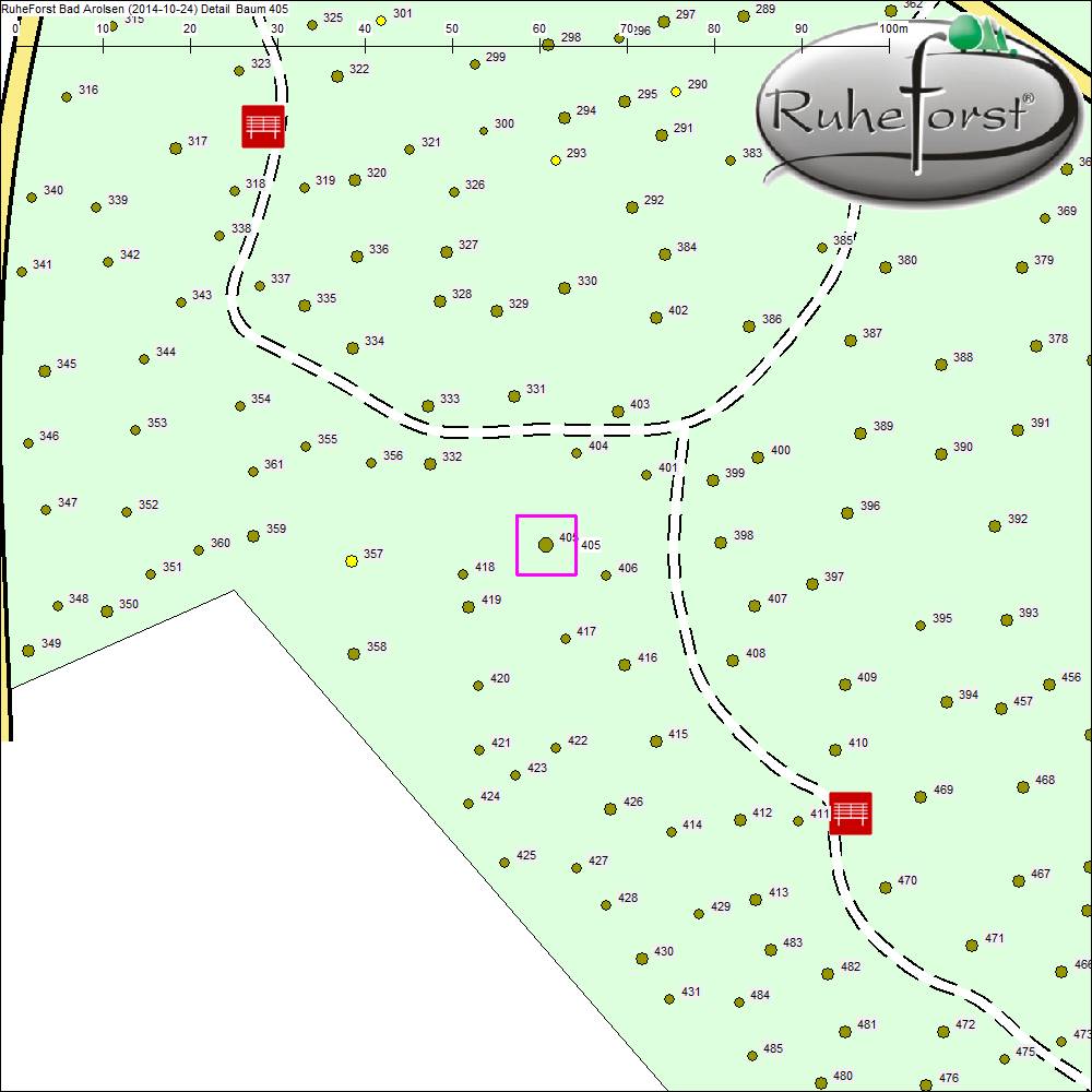 Detailkarte zu Baum 405