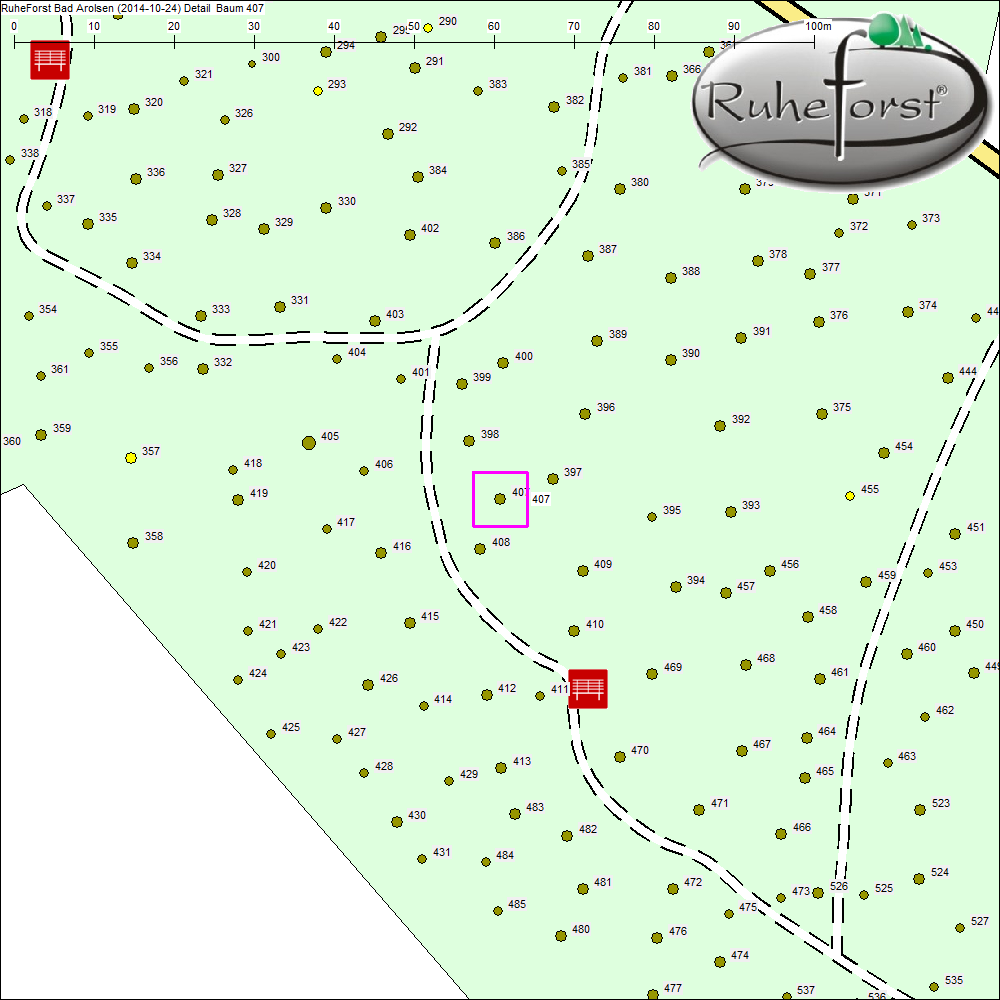 Detailkarte zu Baum 407