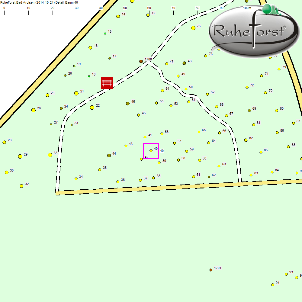 Detailkarte zu Baum 40
