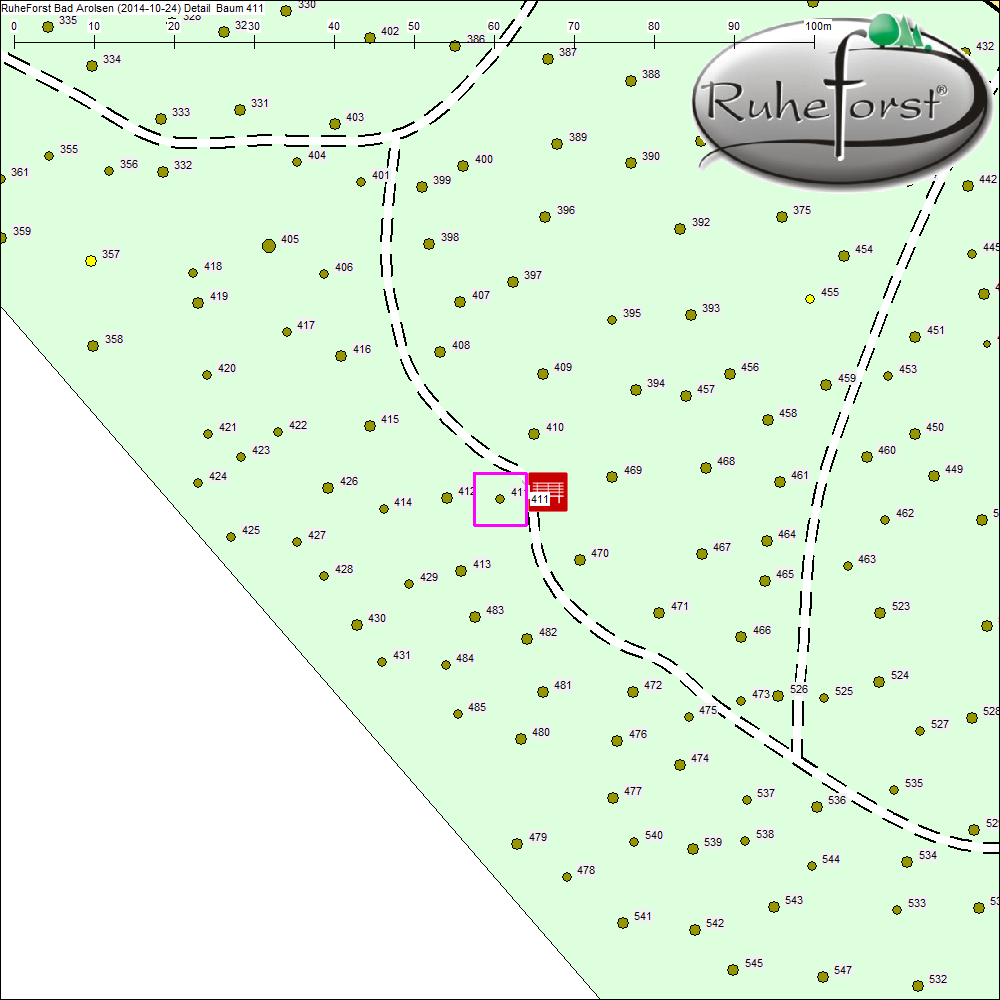 Detailkarte zu Baum 411