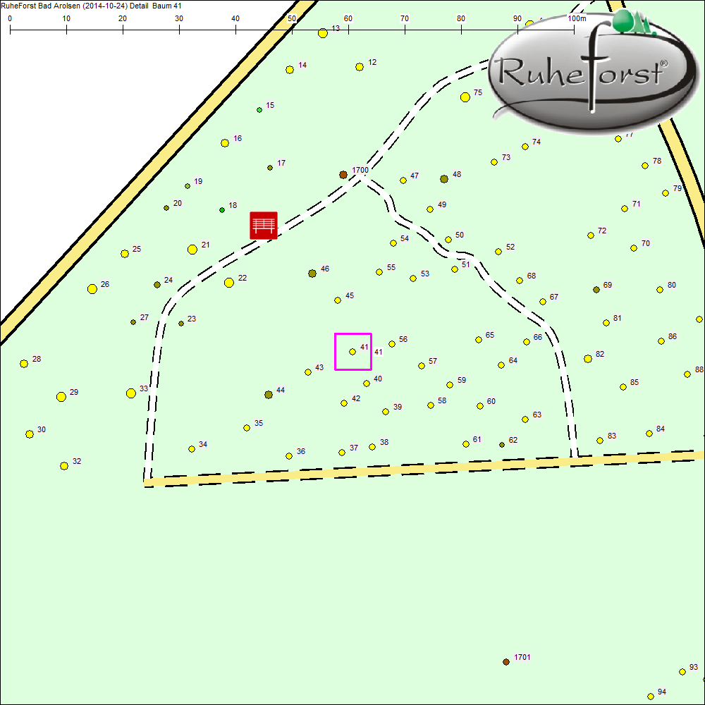 Detailkarte zu Baum 41