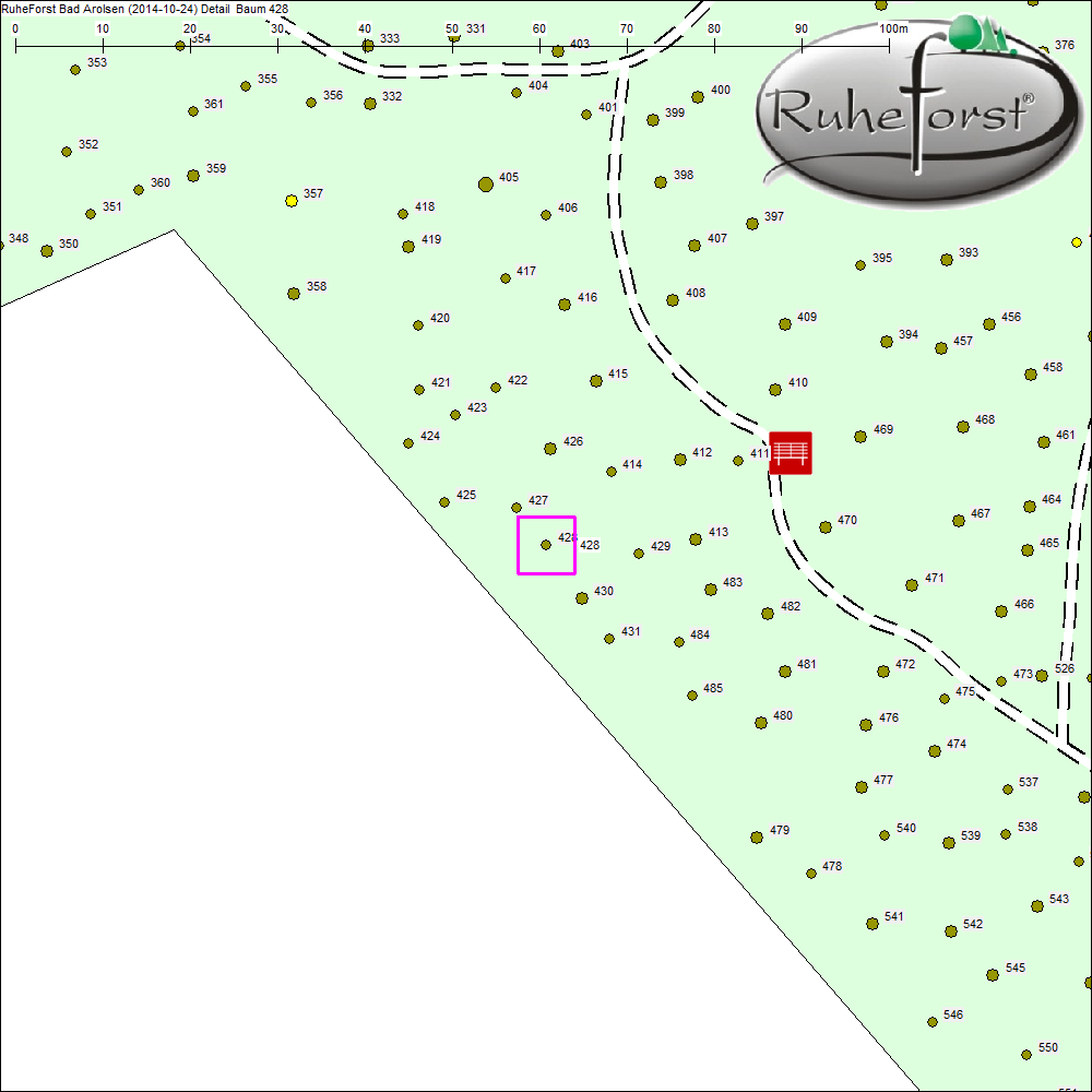 Detailkarte zu Baum 428