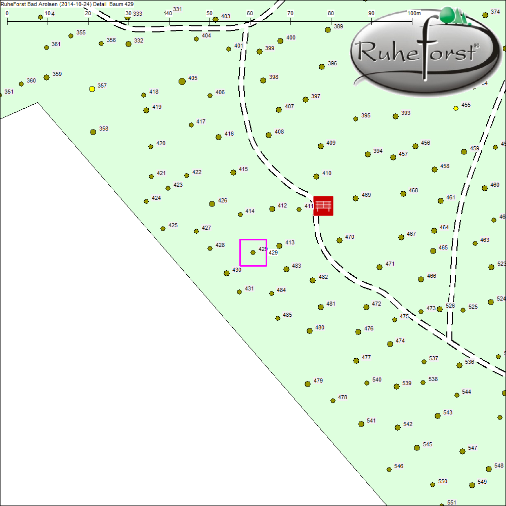 Detailkarte zu Baum 429