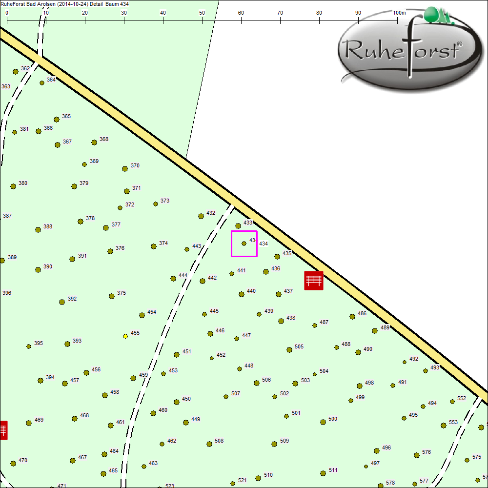 Detailkarte zu Baum 434