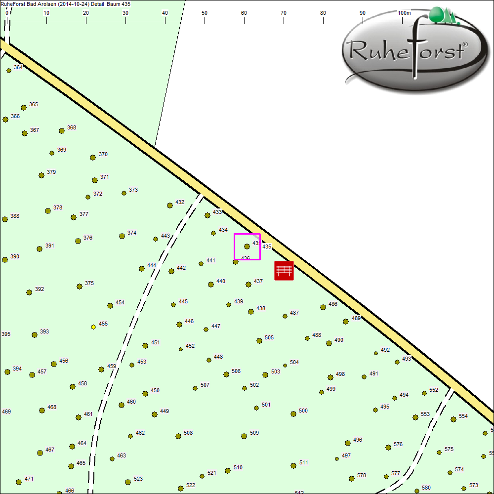 Detailkarte zu Baum 435