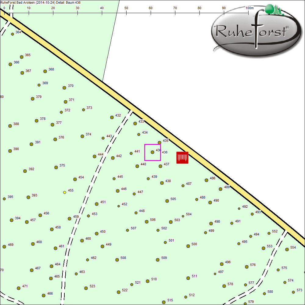 Detailkarte zu Baum 436